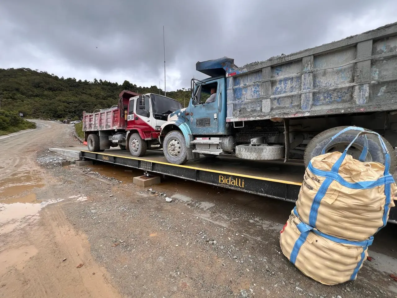 Báscula Camionera